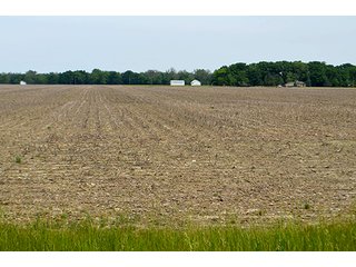 Property photo 23 - FARM & LAND AUCTION - 125+/- ACRES OFFERED IN 5 TRACTS IN EAST ALLEN COUNTY, INDIANA